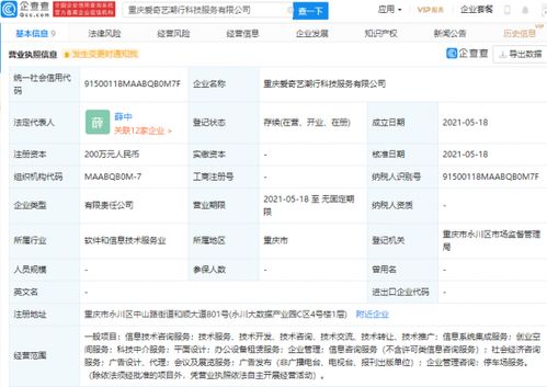 愛奇藝布局科技服務新領域 參股成立科技服務公司